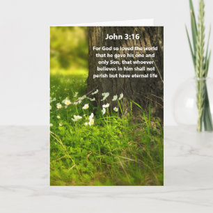 WildFlowers John 3:16 Bibelvers Grußkarte Karte