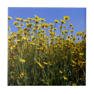 Wildflowers Sunflowers Fliese