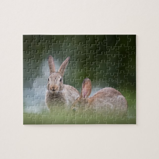 Wildfoto von Kaninchen Puzzle (Horizontal)