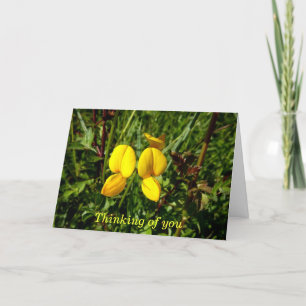 Wildgelbe Orchideen Karte