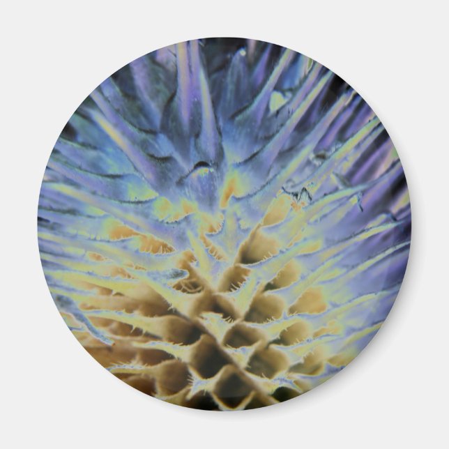 Wildgras Explosionsmagnet Magnet (Vorne)