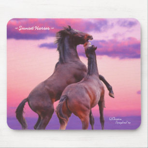Wildhengste Pferde Sonnenaufgang Mousepad
