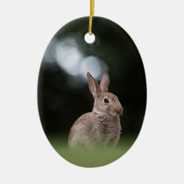 Wildkaninchen-Natur-Foto Keramik Ornament (Vorne)