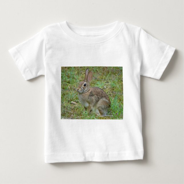 Wildkaninchen Ostküstenschwanz II Apparel & Gesche Baby T-shirt (Vorderseite)