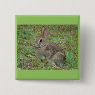 Wildkaninchen Ostküstenschwanz II Apparel & Gesche Button