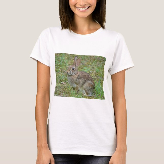 Wildkaninchen Ostküstenschwanz II Apparel & Gesche T-Shirt (Vorderseite)