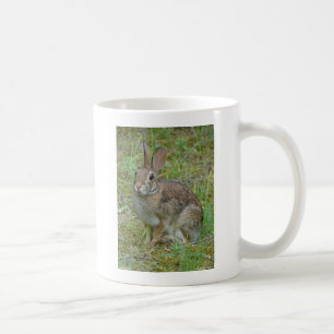 Wildkaninchen Östliche Baumwollschwanzkleidung und Kaffeetasse