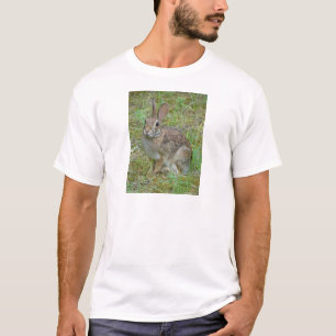 Wildkaninchen Östliche Baumwollschwanzkleidung und T-Shirt