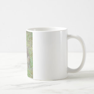Wildkaninchen Östliche Baumwollschwanzkleidung und Tasse