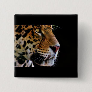 Wildkatze schnurrt button