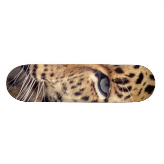 Wildkatze Skateboard
