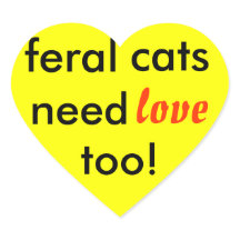 Wildkatzen brauchen auch Liebe!