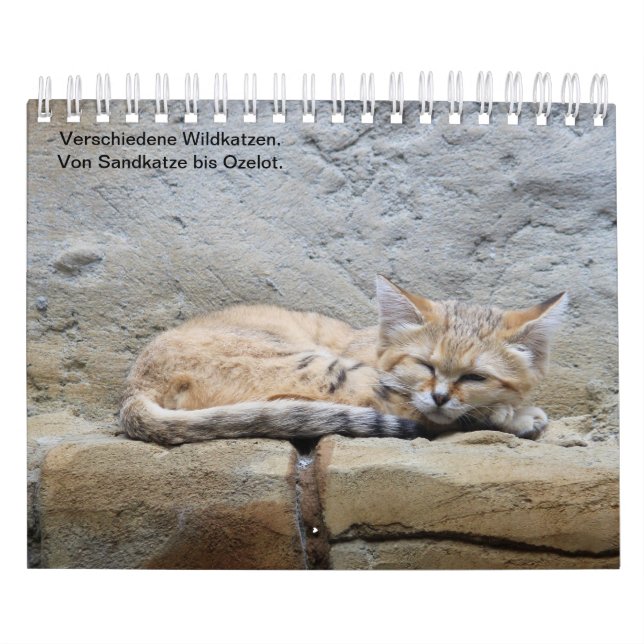Wildkatzen. Kalender (Titelbild)