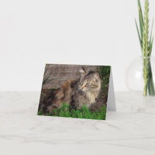 Wildkatzen-Porträt-Notizkarte Karte