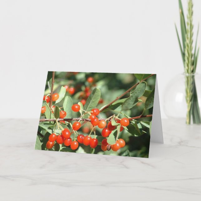 Wildkirschen 1 karte (Vorderseite)