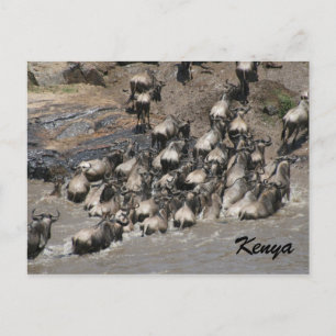 Wildkletterkenya Postkarte