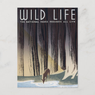 Wildleben Postkarte