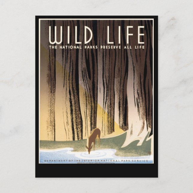 Wildleben Postkarte (Vorderseite)