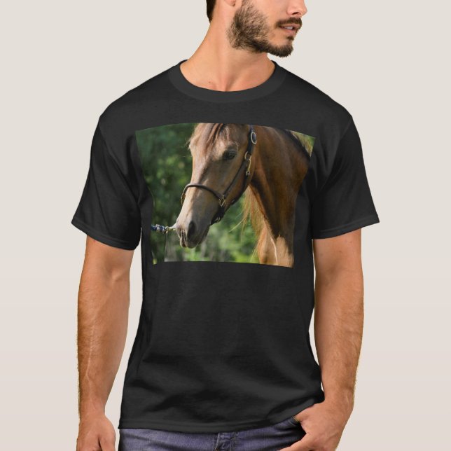 Wildleder-Morgan-Pferd T-Shirt (Vorderseite)
