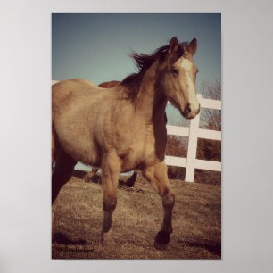 Wildleder-Trab Poster