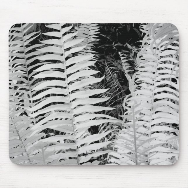 Wildlederfarn, Florida, USA Mousepad (Vorne)