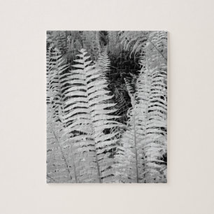 Wildlederfarn, Florida, USA Puzzle