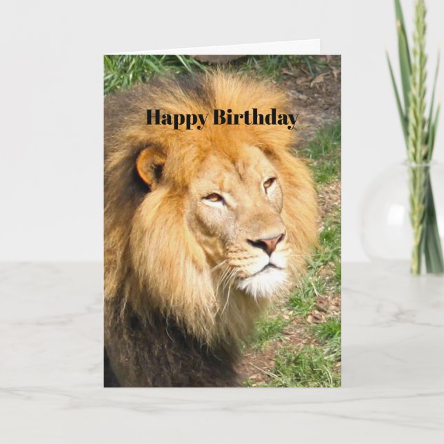Wildlife African Lion Face Foto Birthday Karte (Vorderseite)
