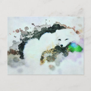 *~* Wildlife AP18 Snow White Arctic Polar Fox Post Postkarte