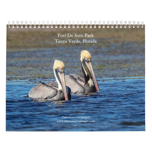 Wildlife at Fort De Soto Park 2026 Kalender (Titelbild)