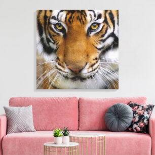 Wildlife Beautiful Tiger Piercing Brown Eyes Leinwanddruck