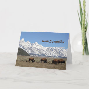 Wildlife Bison Mountains Schnee Foto Beileid Karte
