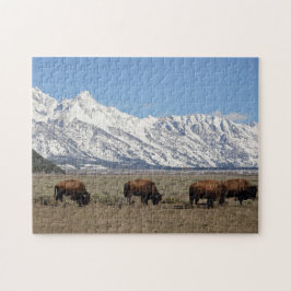 Wildlife Bison Mountains Schnee Foto Puzzle