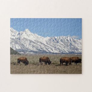 Wildlife Bison Mountains Schnee Foto Puzzle
