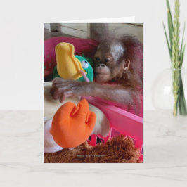 Wildlife Blank Cards:Baby Orangutan Grabs Toys Karte