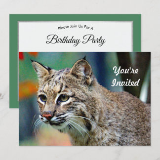 Wildlife Bobcat Foto Geburtstag Einladung