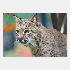 Wildlife Bobcat Foto Geschenkpapier Set