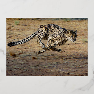 Wildlife Braun Lauf Gepard Geburtstag Gold Folieneinladung