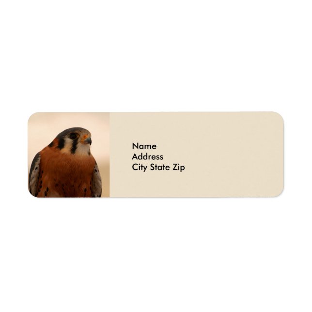 Wildlife Brown Falcon American Kestrel (Vorne)