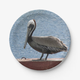 Wildlife Brown Pelican Water Foto Pappteller