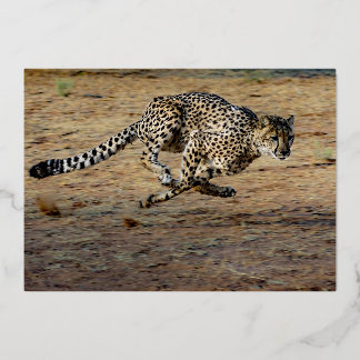 Wildlife Brown Running Cheetah Birthday Gold Folieneinladung