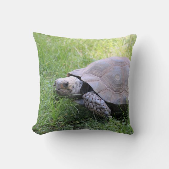 Wildlife Brown Tortoise Foto Kissen (Vorderseite)