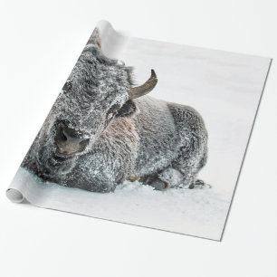 Wildlife Buffalo Snow Foto Geschenkpapier