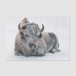 Wildlife Buffalo Snow Foto Seidenpapier