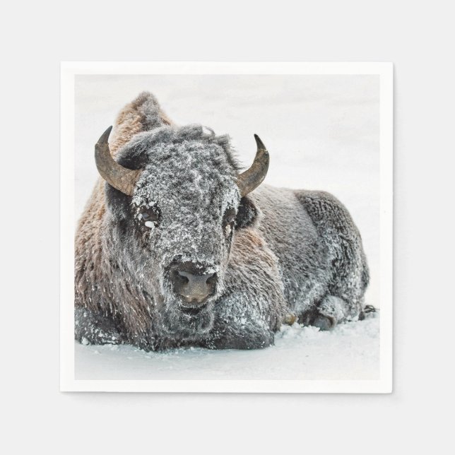 Wildlife Buffalo Snow Foto Serviette (Vorderseite)