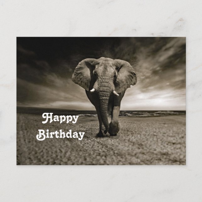 Wildlife Bull Elephant Foto Geburtstag Postkarte (Vorderseite)