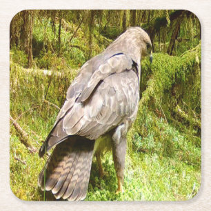 Wildlife Bussard Futtersuche Szene Detaillierte Vo Rechteckiger Pappuntersetzer
