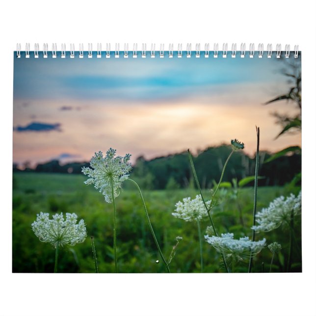 Wildlife Calendar Kalender (Titelbild)