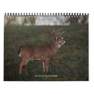 Wildlife Calendar Kalender