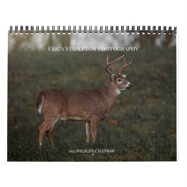 Wildlife Calendar Kalender (Titelbild)