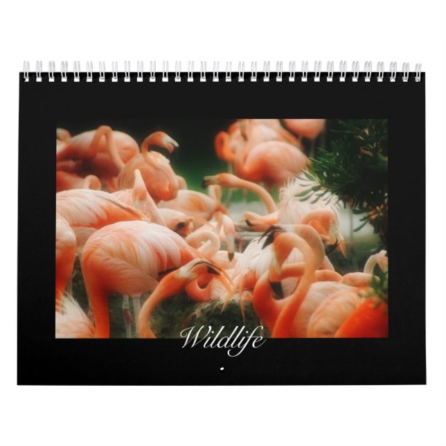 Wildlife Calendar Kalender (Titelbild)